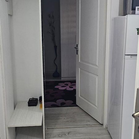 Garsoniera Regim Dni Apartment Petroşani Екстериор снимка