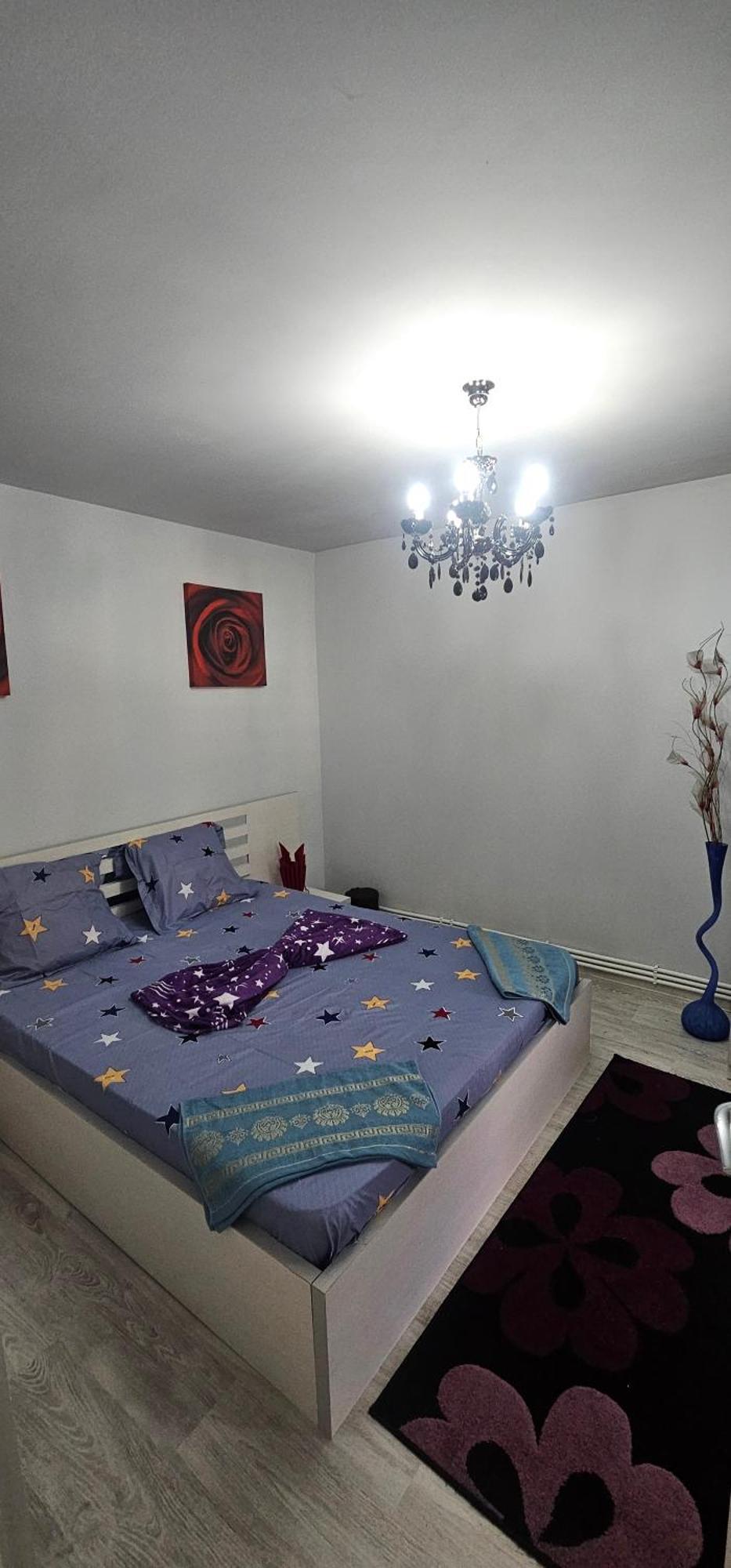 Garsoniera Regim Dni Apartment Petroşani Екстериор снимка