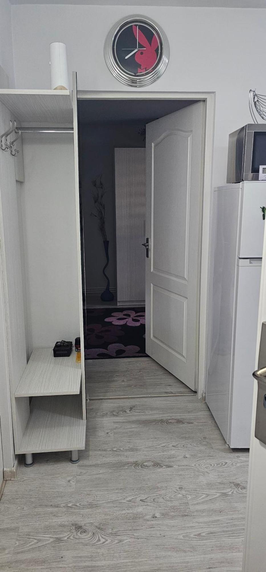 Garsoniera Regim Dni Apartment Petroşani Екстериор снимка