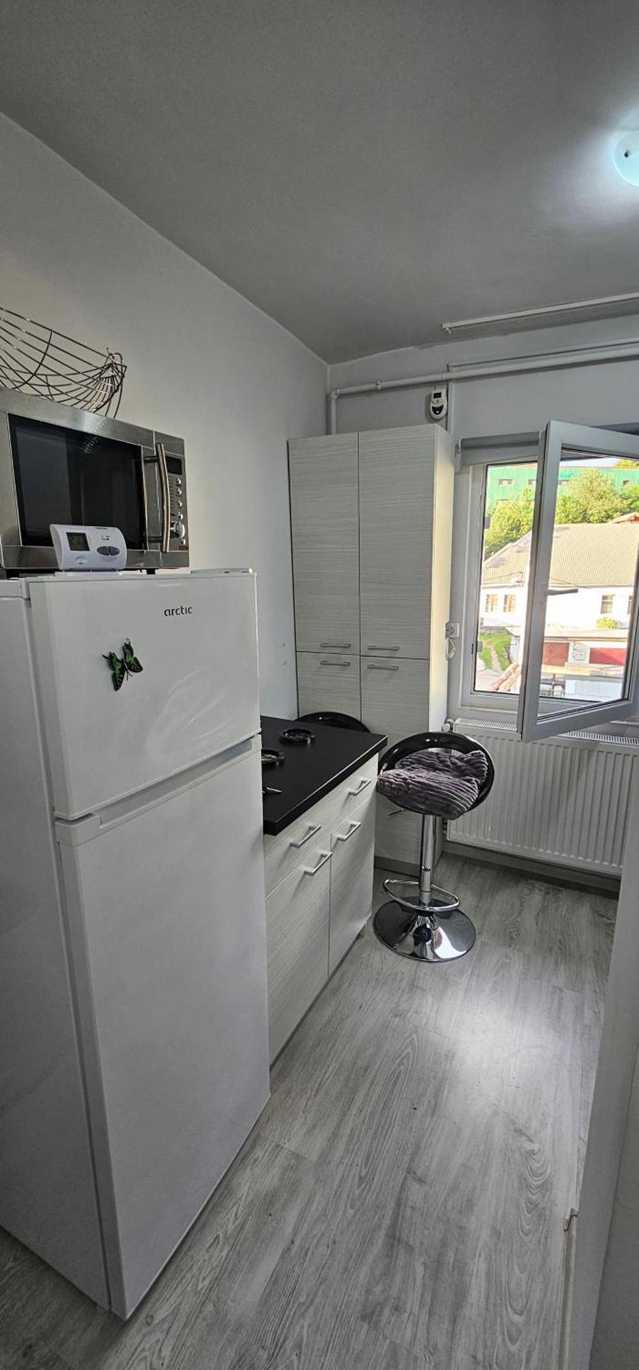 Garsoniera Regim Dni Apartment Petroşani Екстериор снимка